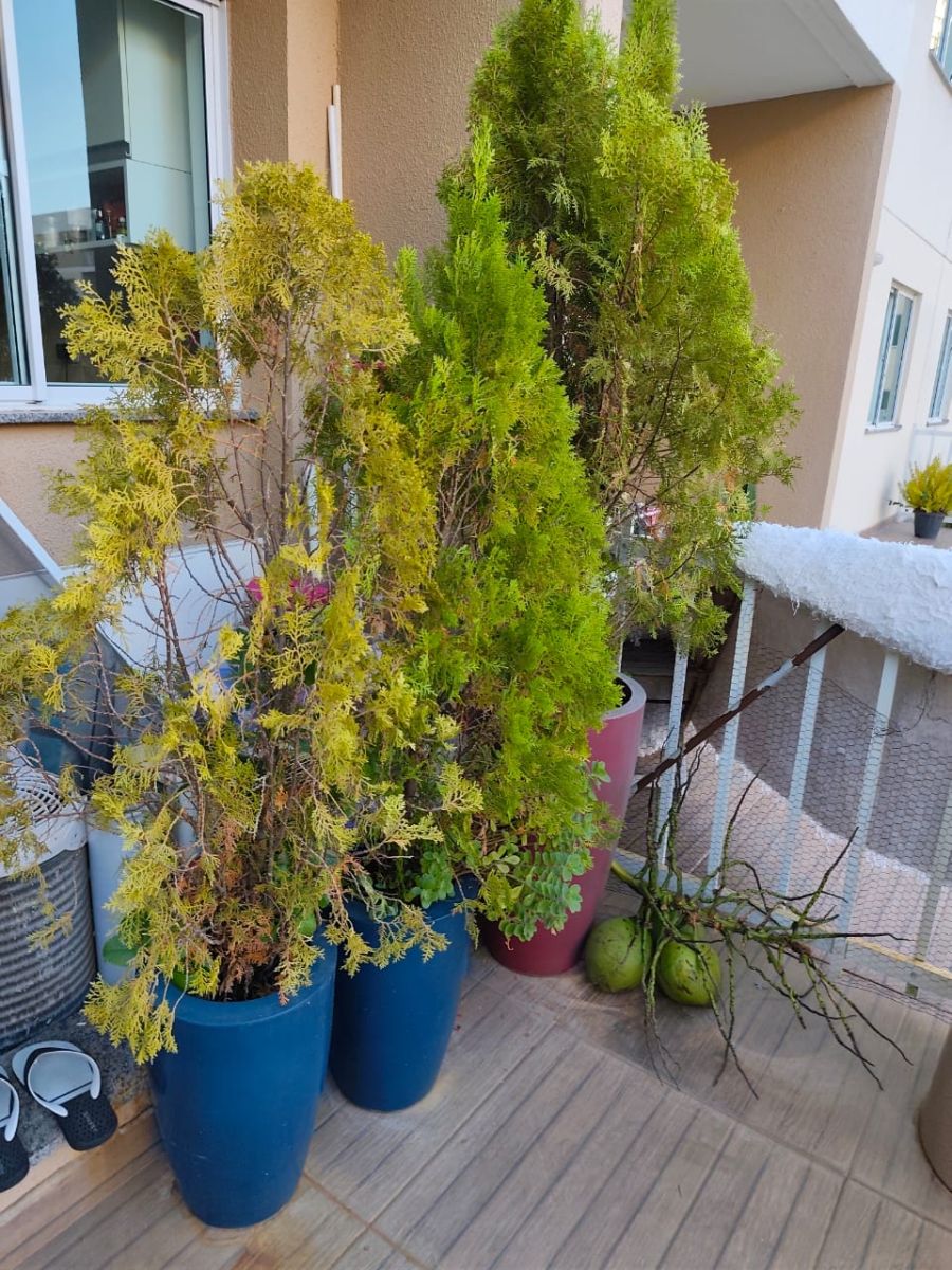 Apartamento Garden Mobiliado Vog Atlântico Ilhéus BA — foto 16