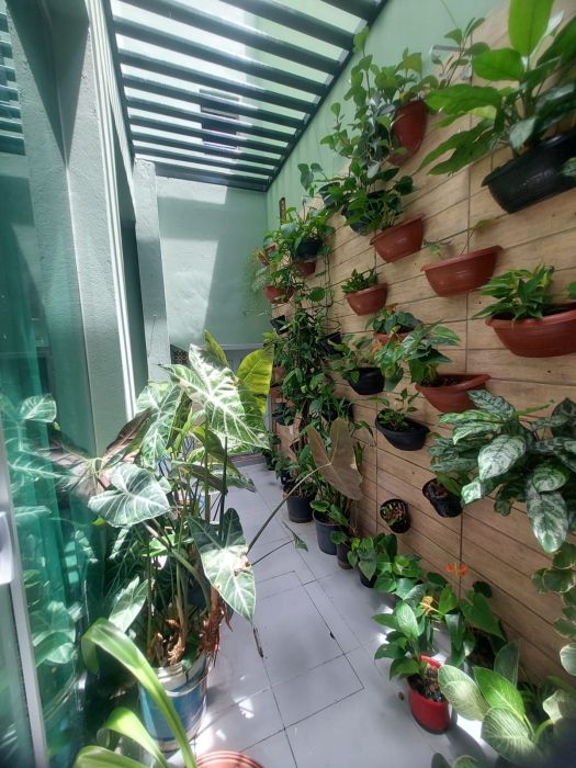 Casa 4 Quartos com Suíte e Terraço no Jardim Savoia, Ilhéus — foto 12