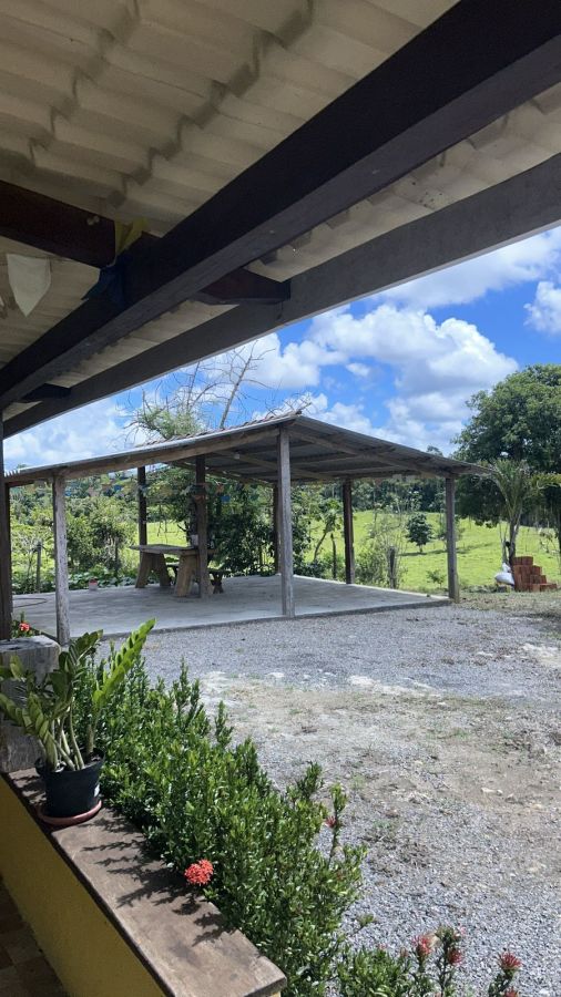 FAZENDA PRODUTIVA À VENDA — foto 2