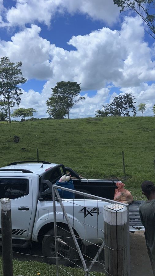 FAZENDA PRODUTIVA À VENDA — foto 3