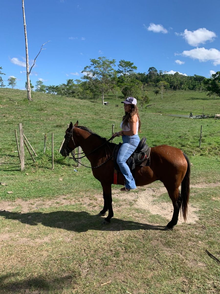 FAZENDA PRODUTIVA À VENDA — foto 9