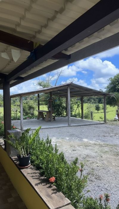 FAZENDA PRODUTIVA À VENDA — foto 10