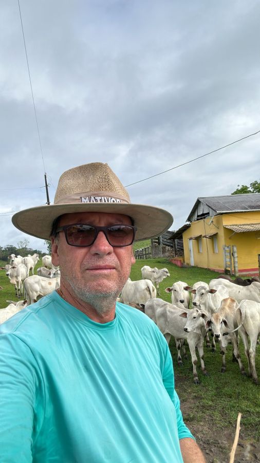 FAZENDA PRODUTIVA À VENDA — foto 13