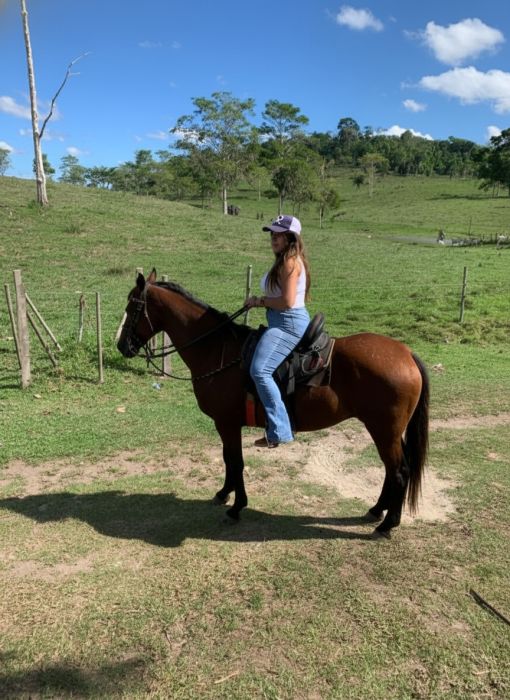 FAZENDA PRODUTIVA À VENDA — foto 16