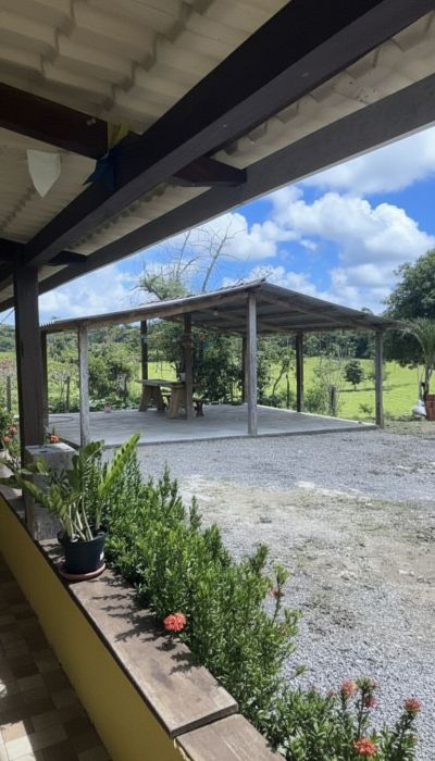 FAZENDA PRODUTIVA À VENDA — foto 18