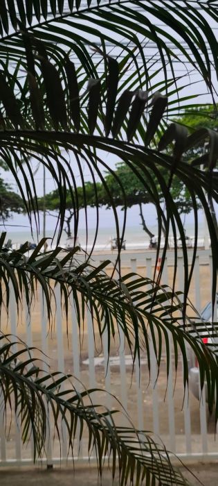 Apartamento Garden Vista Mar à Venda em Ilhéus - BA