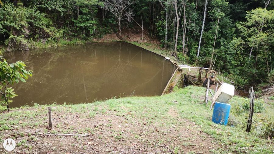 Propriedade Rural à Venda em Una/BA - 40 Hectares — foto 9