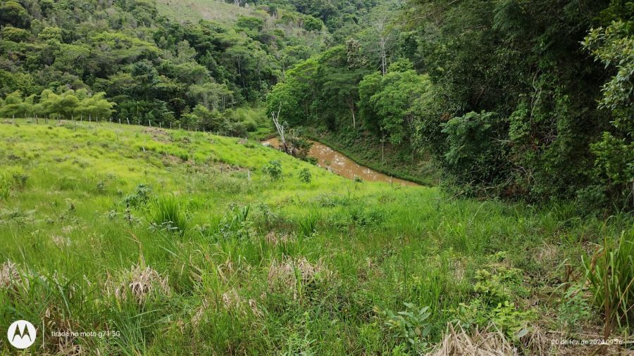 Propriedade Rural à Venda em Una/BA - 40 Hectares — foto 10