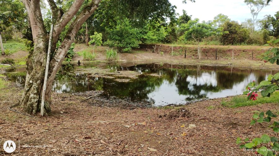 Propriedade Rural à Venda em Una/BA - 40 Hectares — foto 11