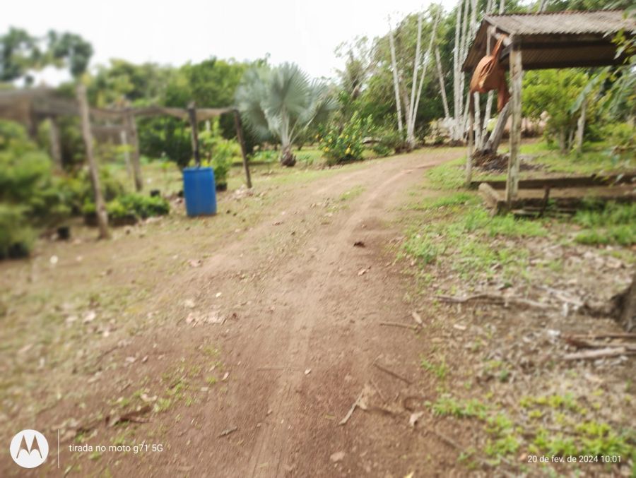 Propriedade Rural à Venda em Una/BA - 40 Hectares — foto 16