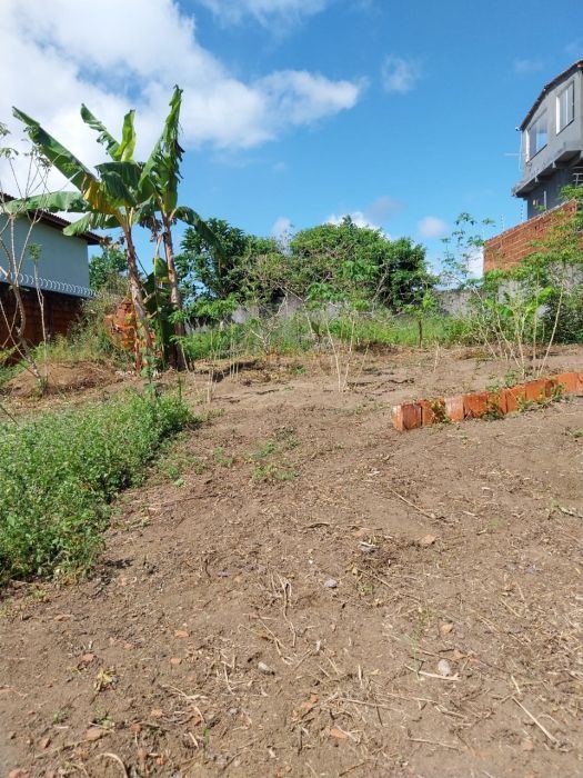 Terreno à Venda em Ilhéus BA | Investimento na Zona Sul em Nossa Senhora da Vitória, Ilhéus, BA